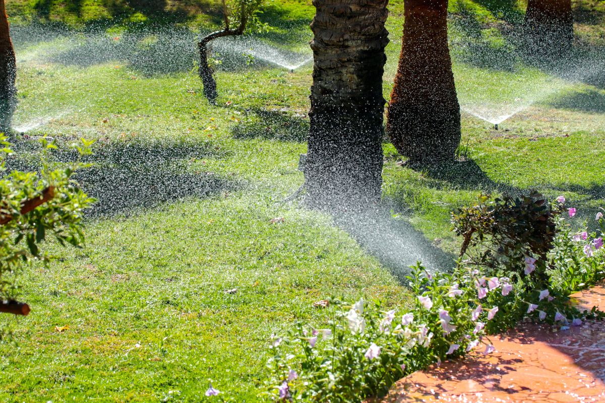 Arrosage automatique dans un jardin arboré
